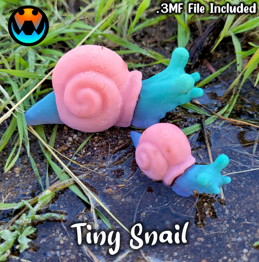 Wiggly Snails - Snail Collection