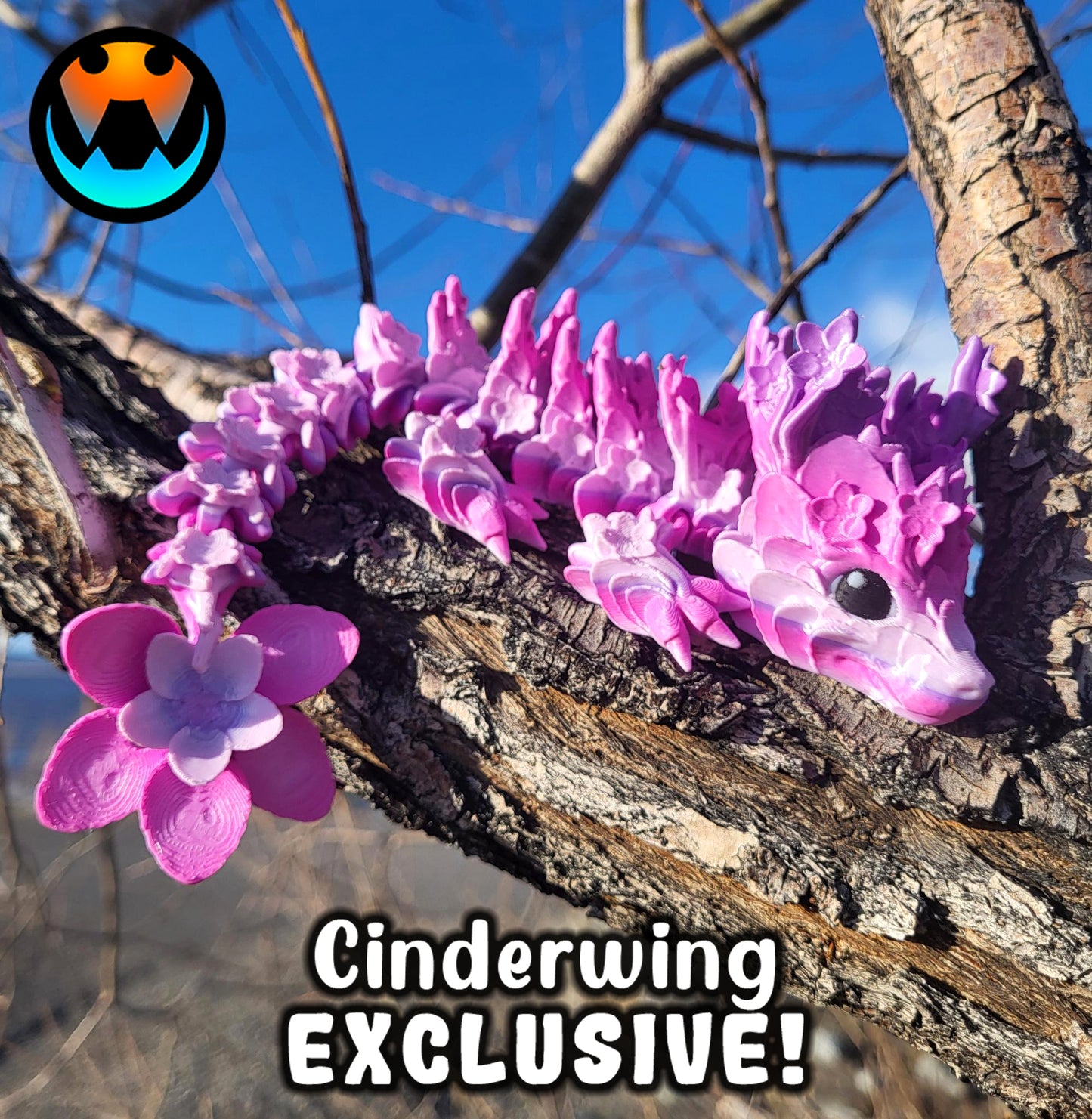 Cherry Blossom Dragon Tadling