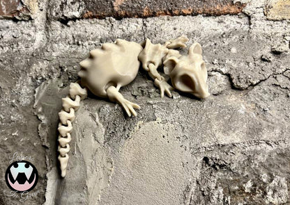 Skeleton Bone Rat