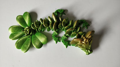 Clover Dragon Tadling